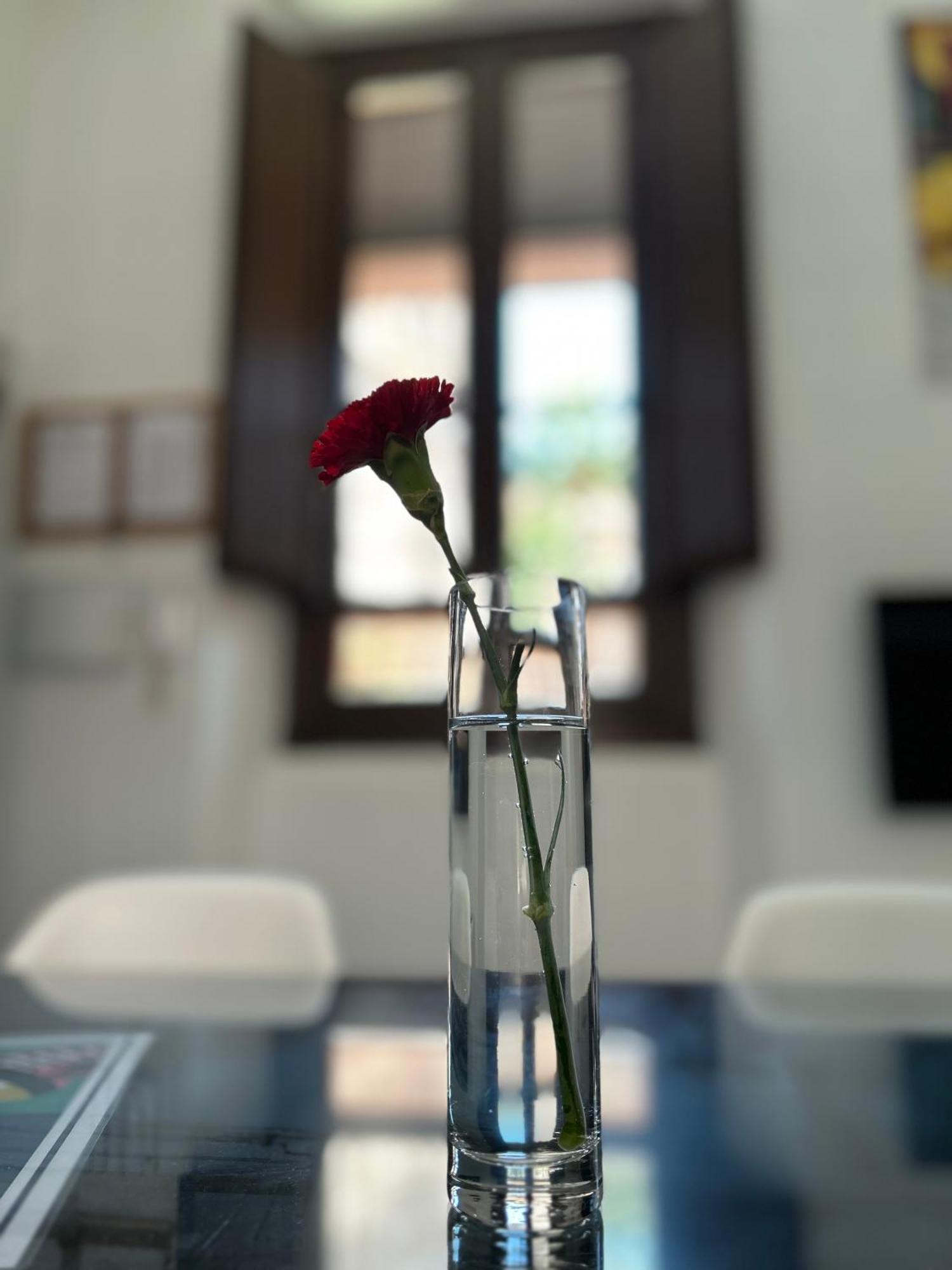 Romanilla Loft Granada Eksteriør bilde